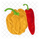 Chili Food Spicy Icon