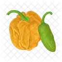 Chili Food Spicy Icon