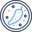 Chilli  Icon