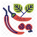 Chilli Icon