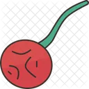 Chiltepin Pepper  Icon