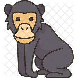 Chimpancé  Icono