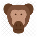 Chimpanzee Icono