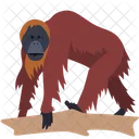 Chimpanzee Monkey Animal Icon
