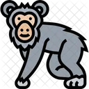 Chimpanzee Monkey Primate Icon