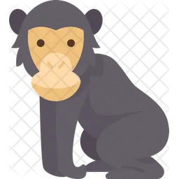 Chimpanzee  Icon