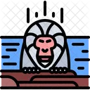 Chimpanzee Monkey Hot Spring Icon