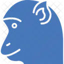 Chimpanzee  Icon