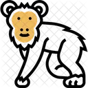 Chimpanzee  Icon