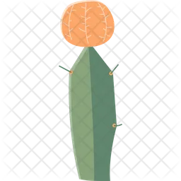 Cactus de barbilla  Icono