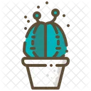 Chin Cactus Succulent Icon