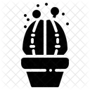 Chin Cactus Succulent Icon