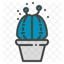 Chin Cactus Succulent Icon