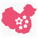 China  Icon