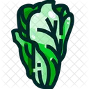 Chinakohl  Symbol