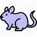 Chinchilla Mammal Fur Icon