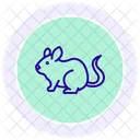 Chinchilla Icon
