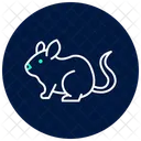 Chinchilla Icon