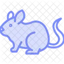 Chinchilla Mammal Fur Icon
