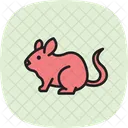 Chinchilla Icon