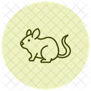 Chinchilla Icon