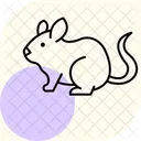 Chinchilla Icon