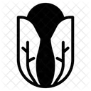 Chinese cabbage  Icon