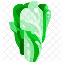 Chinese Cabbage Cabbage Vegetable Icon