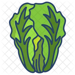 Chinese Cabbage  Icon