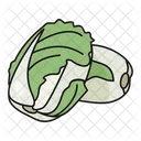 Chinese Cabbage Salad Cabbage Icon