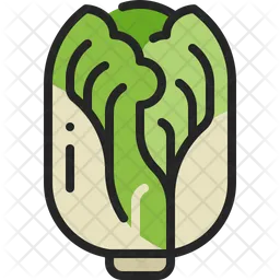 Chinese cabbage  Icon