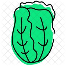 Chinese Cabbage  Icon