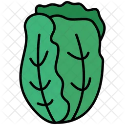 Chinese Cabbage  Icon