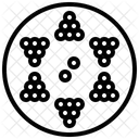 Chinese Checkers  Icon