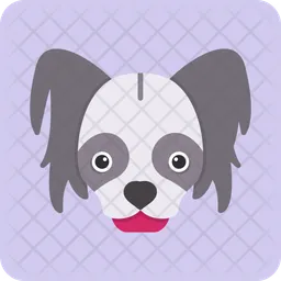 Chinese crested  Icon