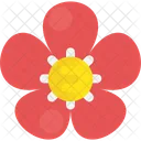 Pink Flower Yellow Icon