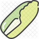Chinese Cabbage Food Icon