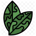 Chinese Plant Nature Icon