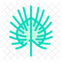 Chinese Leaf Tropical Tree Palm Icon