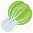 Chinese Cabbage Leaves Icon