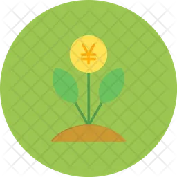 Chinese money plant  Icon