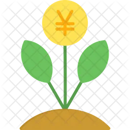 Chinese Money Plant  Icon