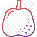 Chinese pear  Icon