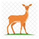 Chinese water deer  Icon