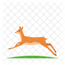Chinese water deer  Icon