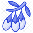 Chinese Wolfberry Goji Icon