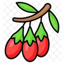 Chinese Wolfberry Goji Icon