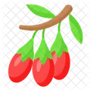 Chinese Wolfberry Goji Icon