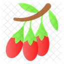 Chinese Wolfberry Goji Icon