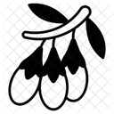 Chinese Wolfberry Goji Icon